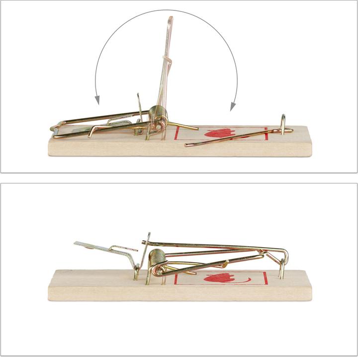 Actual product image Relaxdays 40x mousetrap