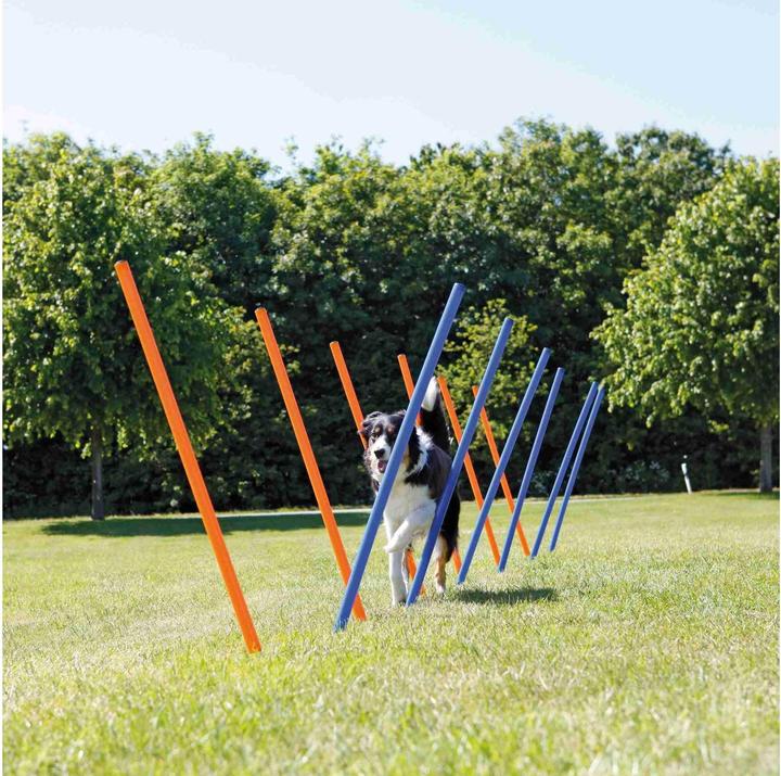 Trixie Fun Agility Slalom (Agility)