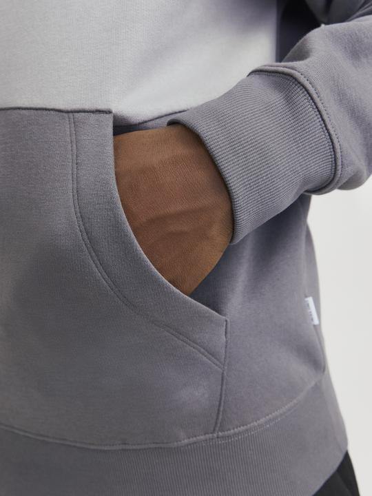 Actual product image Jack & Jones Jjelegacy Blocking Sweat Hood Noos (XS)