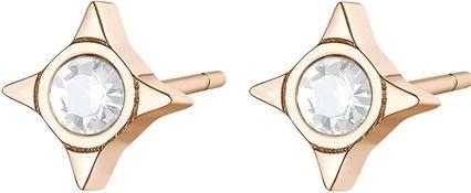 Sagapo S'AgapÃµ - Elegant steel earrings with clear crystals CLICK SCK50