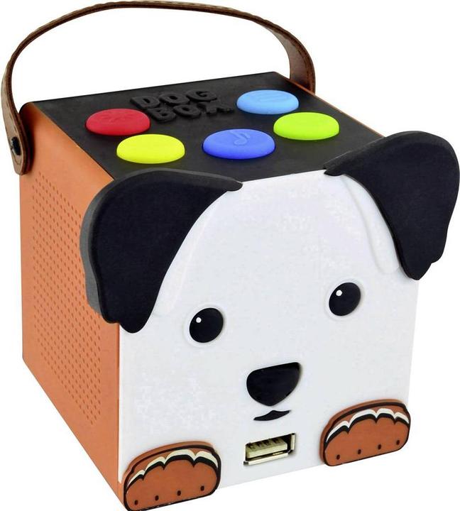 Actual product image X4 Bobby Joey DogBox