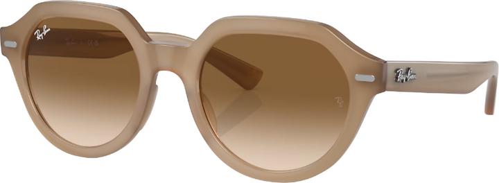 Actual product image Ray Ban GINA 0RB4399 616651 brown /Turtledove S