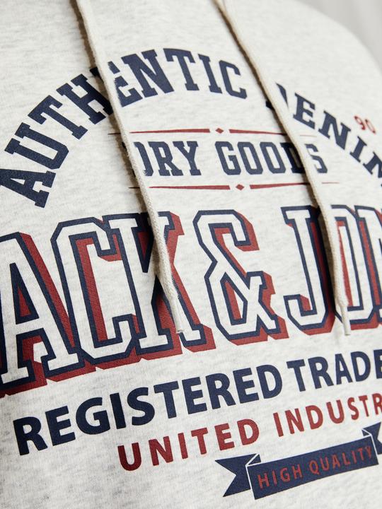 Actual product image Jack & Jones JJELOGO SWEAT HOOD 2 COL 24/25 NOOS PLS (4XL)