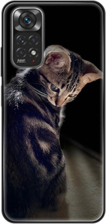 Junge Katze