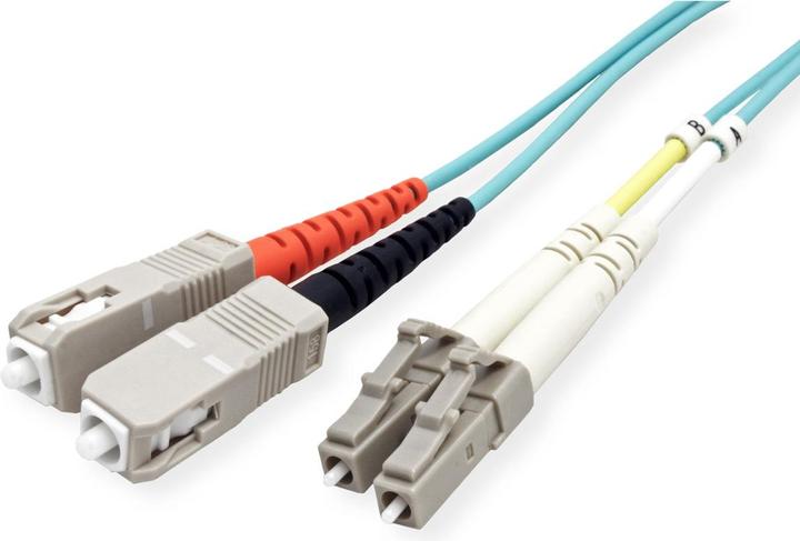 Immagine prodotto OEM Cavo patch in fibra ottica OM3 (UTP, CAT6a, 2 m)