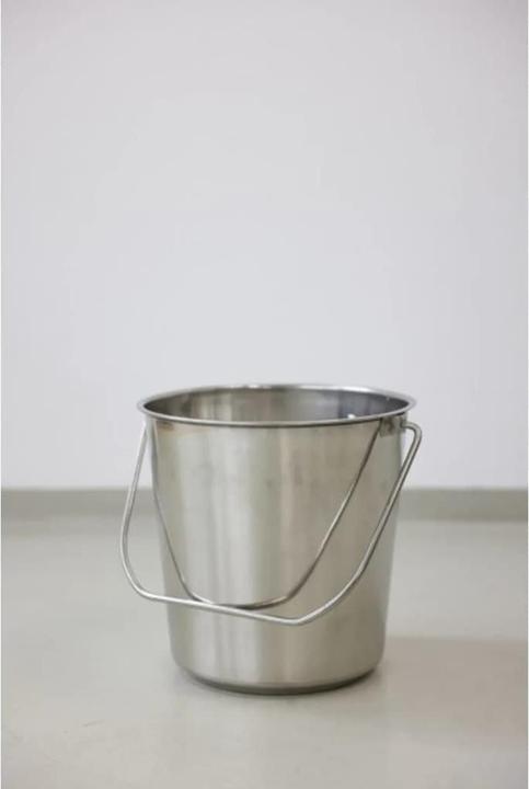 Immagine prodotto Kerbl Secchio in acciaio inox