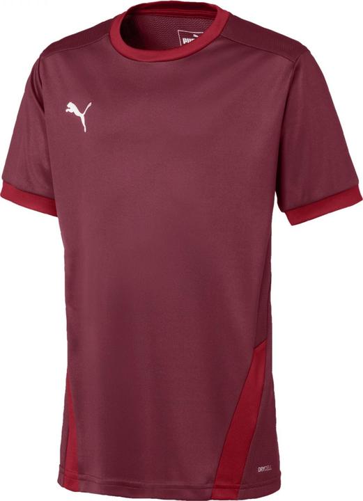 Immagine prodotto Puma Maglia teamGOAL 23 jr-704160 (116)