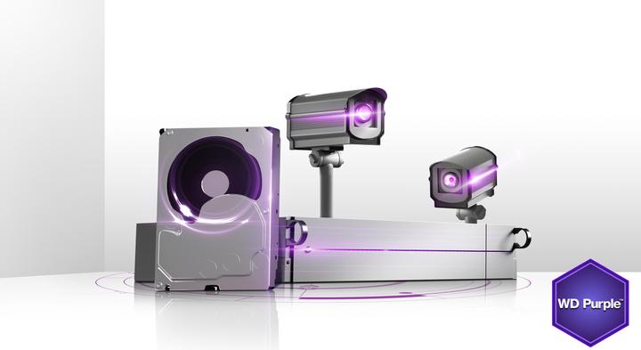 Actual product image WD Purple WD30PURX hard drive (3 TB, 3.5", CMR)