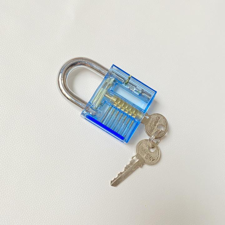 Werkstein Dietrich Lockpicking Set (Cilindro profilato)