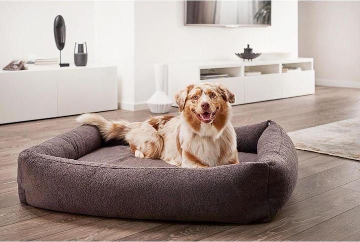 Produktbild Laboni Classic Teddy (Hund)