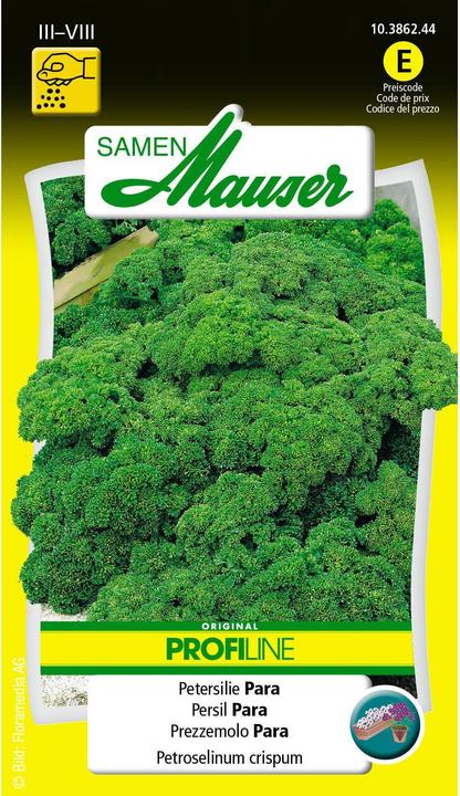 Samen Mauser Parsley Para Profiline (Herb seeds)