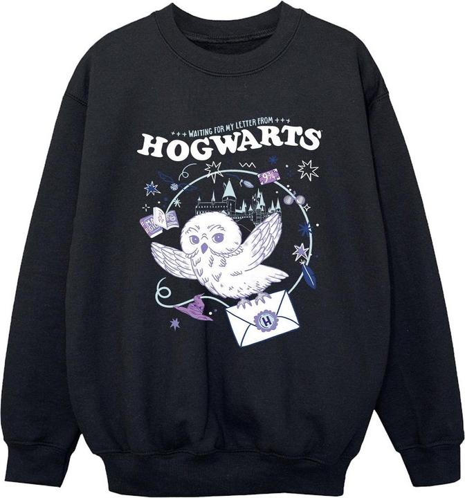 Owl Letter From Hogwarts Sweatshirt Jungen