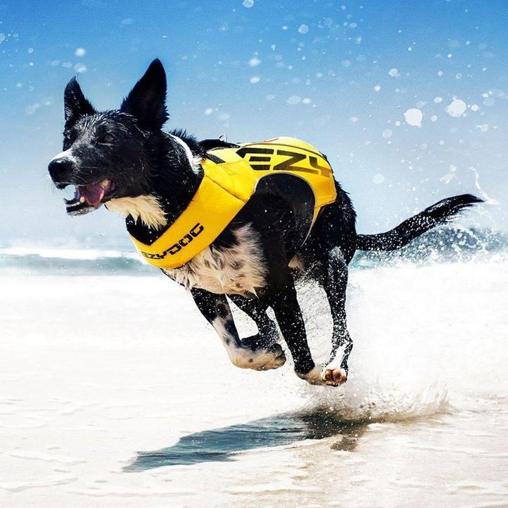 Productafbeelding EzyDog Zwemvest X2 Boost Geel xs 7-11 kg (10, 11, Hondenvest)
