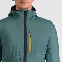 Shrub Green, Wood Yellow