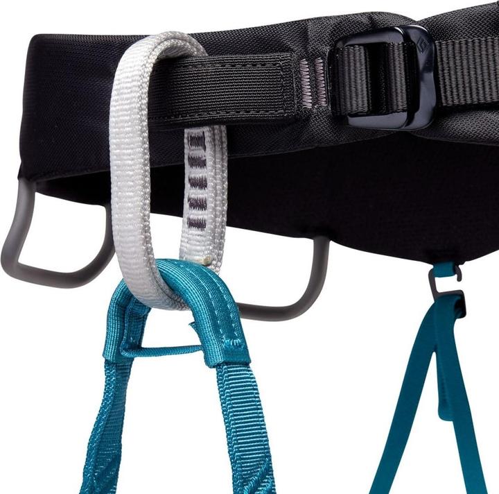 Image du produit Black Diamond Harnais d'escalade Momentum (L)