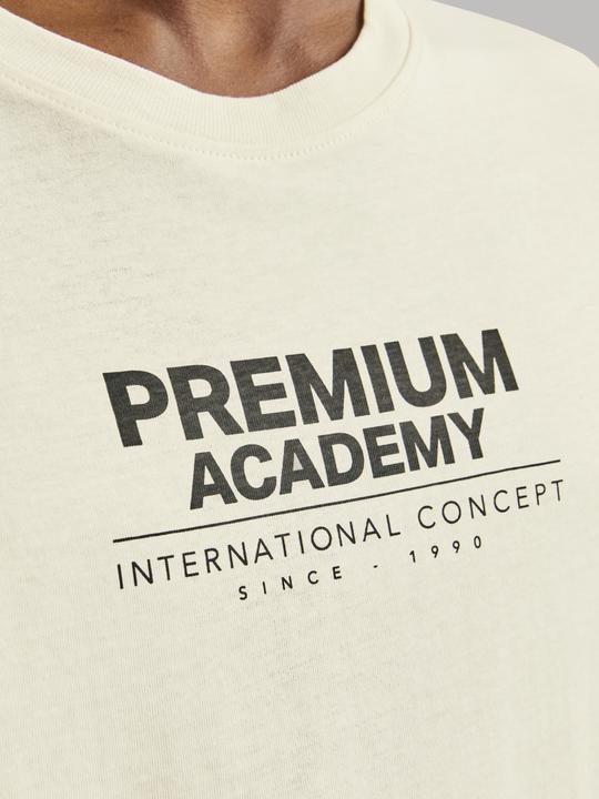 Immagine prodotto Jack & Jones T-shirt stampata con scollo rotondo (L)