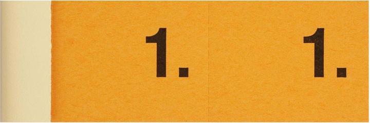 Actual product image Simplex Wardrobe blocks (100 x)