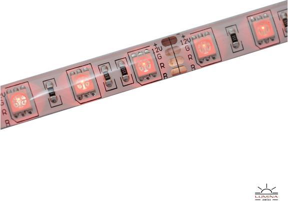 Immagine prodotto Lumina Swiss Striscia LED multicolore da 10 m per esterni puri (1000 cm, Esterno)