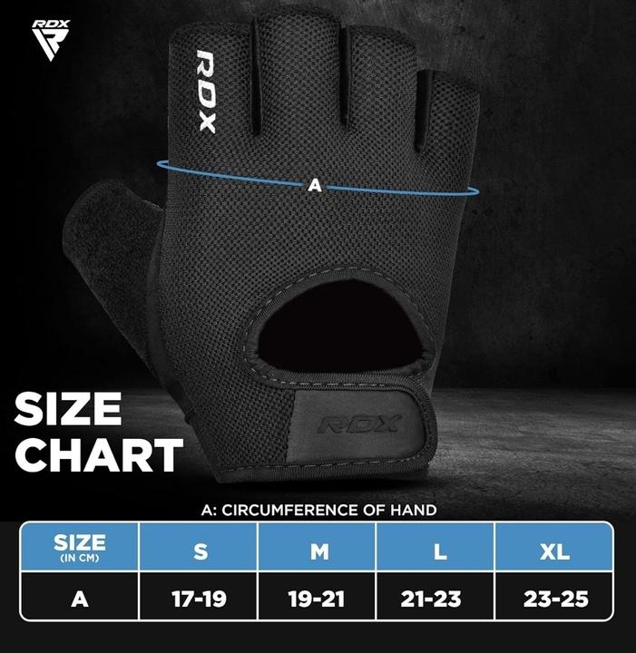 Produktbild Rdx Gewichtheberhandschuhe (XL)