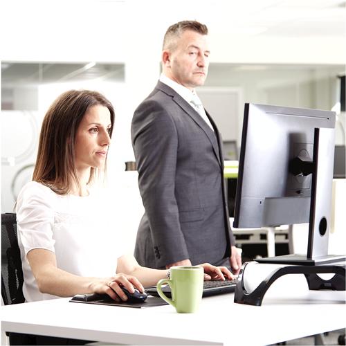 Immagine prodotto Fellowes Privascreen 17.0 5:4 (17", 5 : 4)