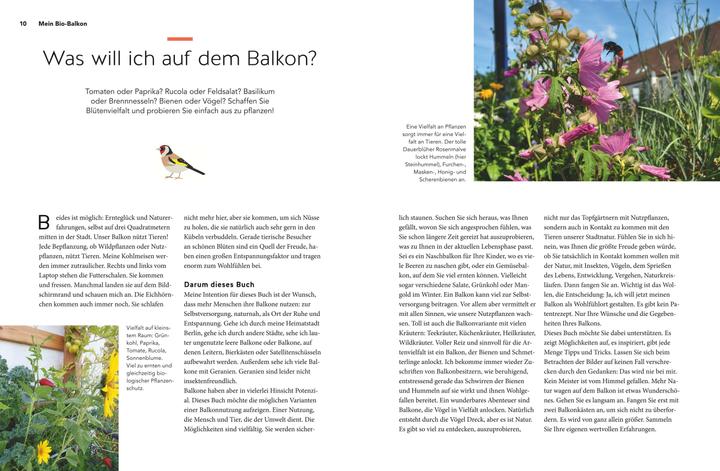 Produktbild Mein Biotop auf dem Balkon (Deutsch, Birgit Schattling, 2020)