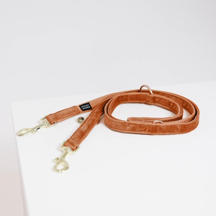 Produktbild Kentucky Dogwear Hundeleine Velvet (L, Hund, Hundesport)