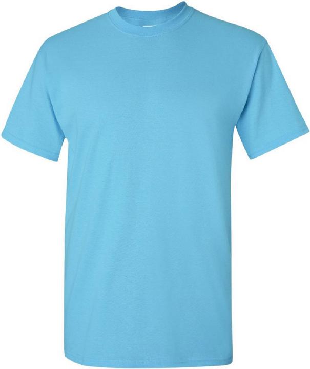Actual product image Gildan UTBC475 P (L)