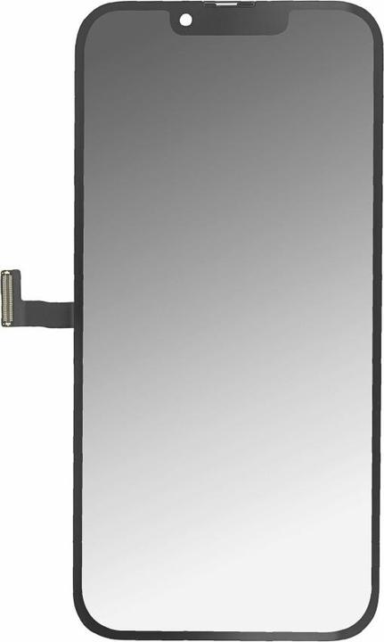 Immagine prodotto OEM Display originale estratto per iPhone 13 Pro (Display, iPhone 13 Pro)