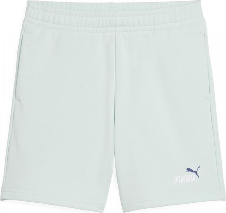 Actual product image Puma ESS 2 COLOR No. 1 Logo Shorts TR B (164)