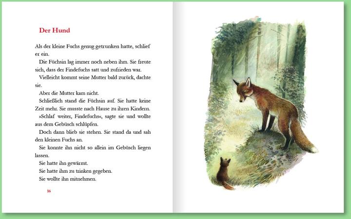 Produktbild Der Findefuchs (Deutsch, Irina Korschunow, Reinhard Michl, 2021)