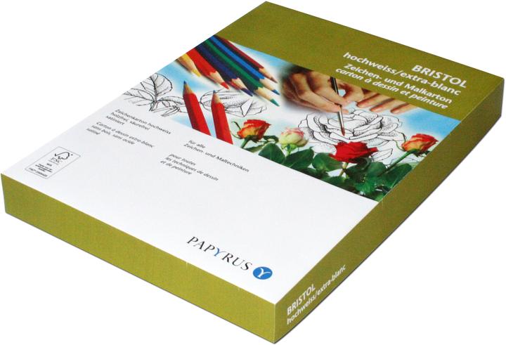 Actual product image Papyrus Bristol 50x70 160g bright white (160 g/m², 10 x)