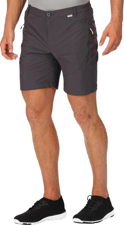 Actual product image Regatta Mens Highton Walking Shorts (46)