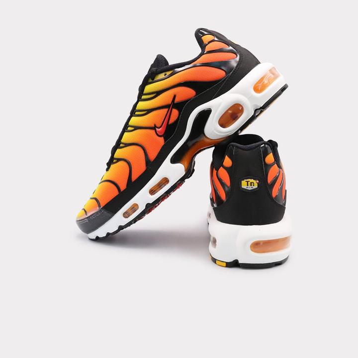 Actual product image Nike Air Max Plus (41)