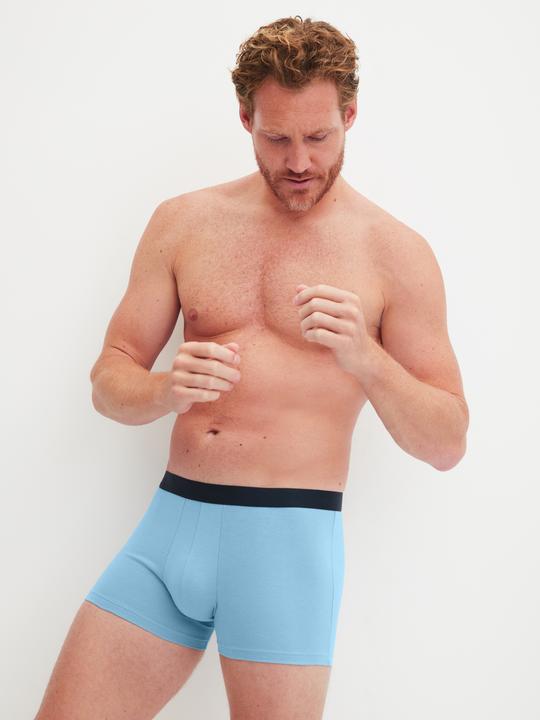 Immagine prodotto Calida Season Special Boxershorts (L, confezione da 3)