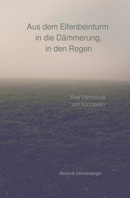 Produktbild Aus dem Elfenbeinturm in die Dämmerung, in den Regen (Deutsch, Dominik Dürrenberger, 2017)