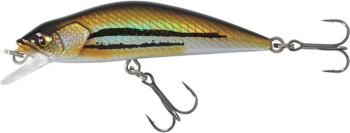 Image du produit Caperlan Jerkbait Minnow (5 cm)