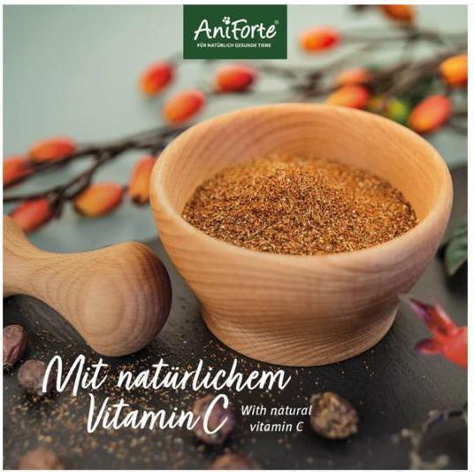 Produktbild AniForte Hagebutten Pulver (Adult, 1 Stk., 250 g)