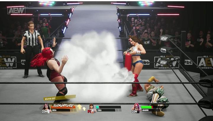 Actual product image THQ AEW: Fight Forever (PC, DE)