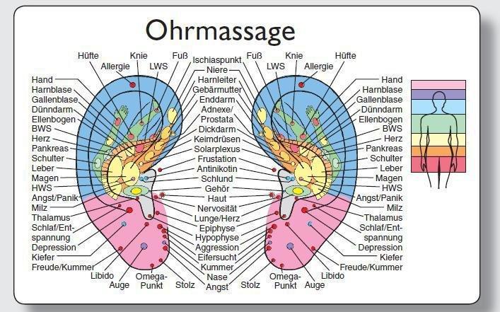 Produktbild Reflexzonenmassagekarte "Ohr"