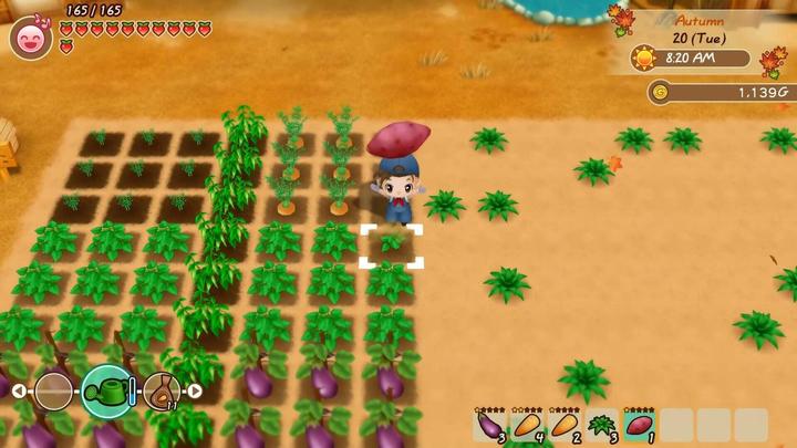 Produktbild Marvelous Story of Seasons : Friends of Mineral Town (Switch, FR)