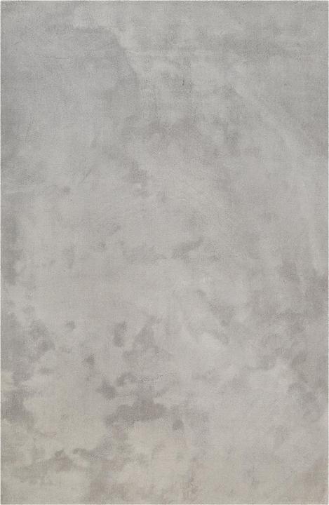 Gris clair