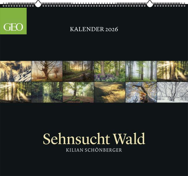 Produktbild Neumann GEO Kalender: Sehnsucht Wald 2026 - Wand-Kalender - Natur-Kalender - 60x55 (Deutsch)