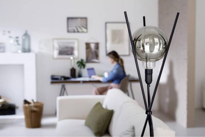 Image du produit Philips Professional gris (E27, 6.50 W, 200 lm, 1 x, F)