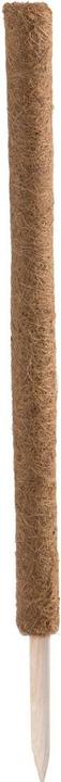 Produktbild Siena Garden Rankstab (5 cm, 5 cm)