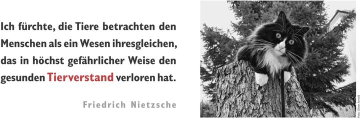 Produktbild Der literarische Katzen Wochenplaner 2025 (Deutsch)