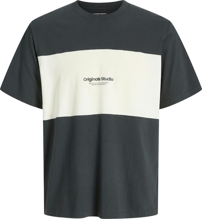 Jack & Jones Jorvesterbro Block Tee Ss Crew Styd Aw24
