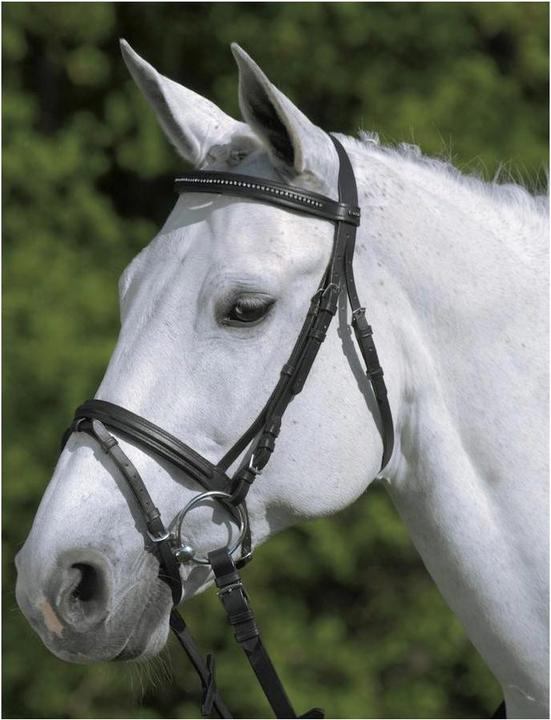 Actual product image Waldhausen Diamond snaffle