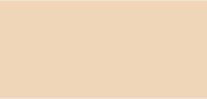 Image du produit L'Oréal Paris Infaillible (10 Bright Nude)