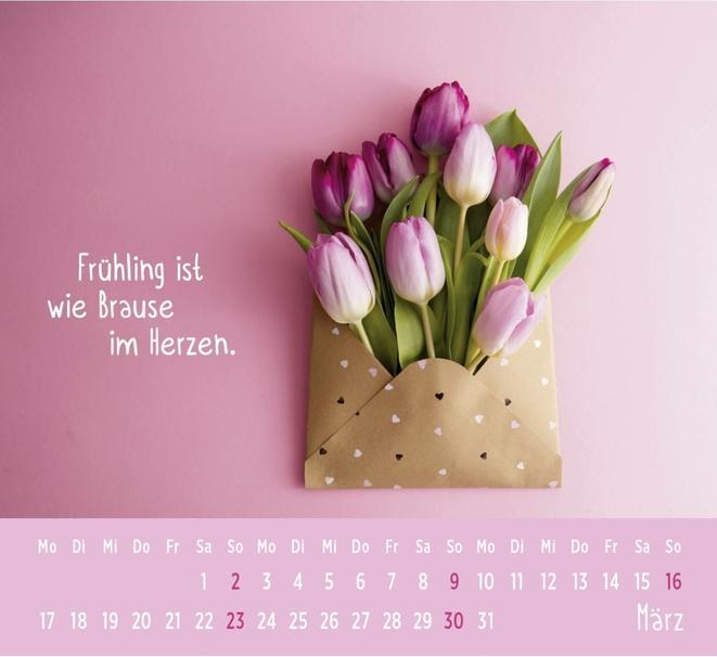 Image du produit Mini-calendrier (12 x 13 cm, Non contraignant, Allemand)