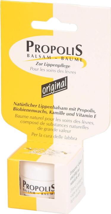 Actual product image Remmele Balsam Tiegel (Balm, 5 ml)